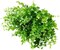 8 Bundles Outdoor Artificial Boxwood UV Resistant Fake Stems Plants, Faux Plastic Greenery for Indoor Outside Hanging Plants Garden Porch Window Box Home Wedding Farmhouse Décor